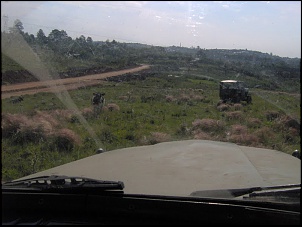 Jeep Willys CJ3-B 1954 (Militarizado) - RECRUTA-2.jpg