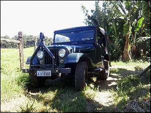 Iniciante com Jeep Willys-20140120_155331.jpg