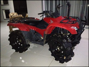 Fourtrax 420 pneus max 29''-foto-1.jpg