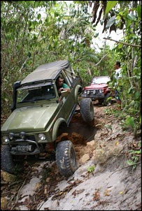 Trilhas No Amazonas-15122009e.jpg