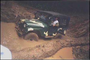 VENDO JEEP WILLYS 1958 4.1/S R.000,00-mimosa_114.jpg