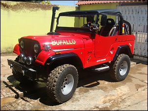 Vendo Jeep Willys FORD 79-dsc03984.jpg