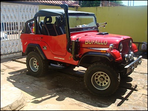 Vendo Jeep Willys FORD 79-dsc03997.jpg