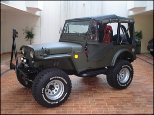 Vendo Jeep Willys 1951 &quot;&quot;&quot;PERFEITO&quot;&quot;&quot;-imagem-019.jpg